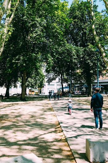 Photo of People Walking at Park