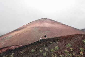 Photo Of People Walking During Daytime