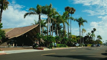 Photo of People Walking Near the Palm Trees