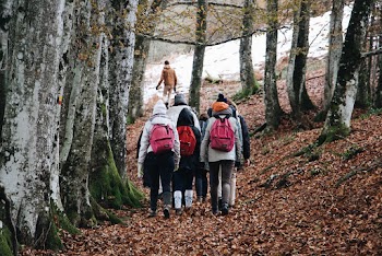 Photo Of People Walking On Forest