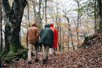 Photo Of People Walking On Forest
