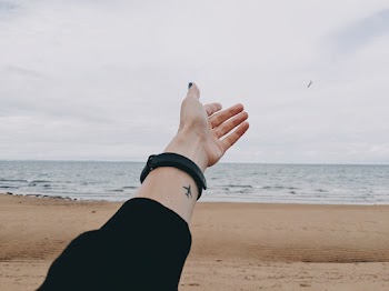 Photo of Person's Hand