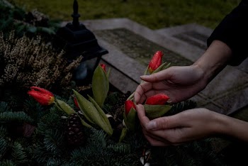 Photo of Person's Hands Holding Flowers