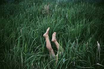 Photo of Person's Legs Surrounded by Blades of Grass