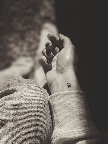 Photo of Person's Wrist