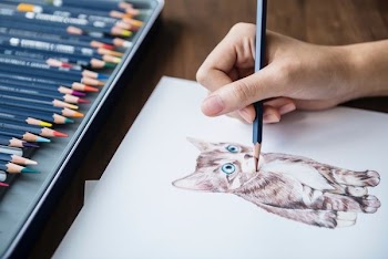 photo of person drawing gray kitten
