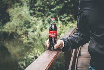 Photo of Person Holding a Coca-cola Bottle