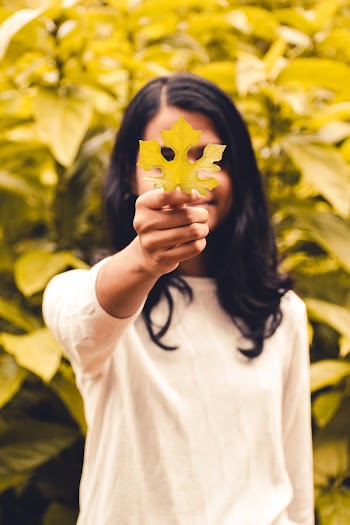 Photo of Person Holding a Leaf