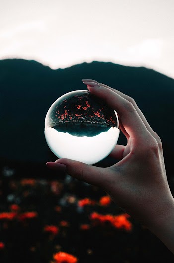 Photo of Person Holding Clear Ball