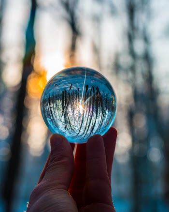 Photo of Person Holding Crystal Ball