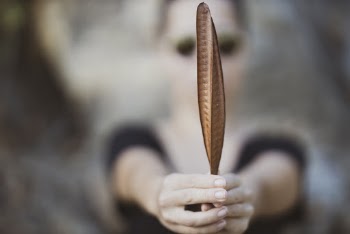 Photo Of Person Holding Dried Leaf