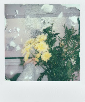 Photo Of Person Holding Flowers