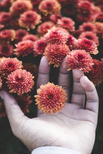 Photo of Person Holding Flowers