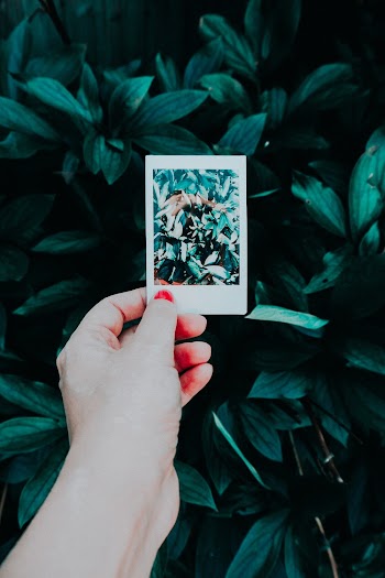 Photo of Person Holding Picture