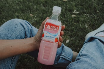 Photo of Person Holding Plastic Bottle Drink