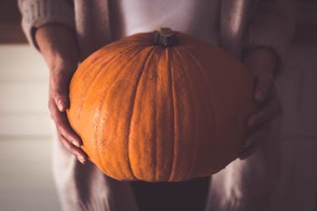 Photo of Person Holding Pumpkin