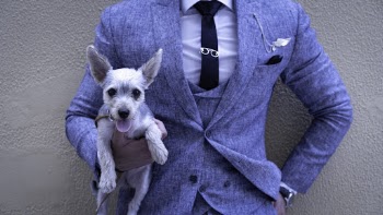 Photo of Person Holding Puppy