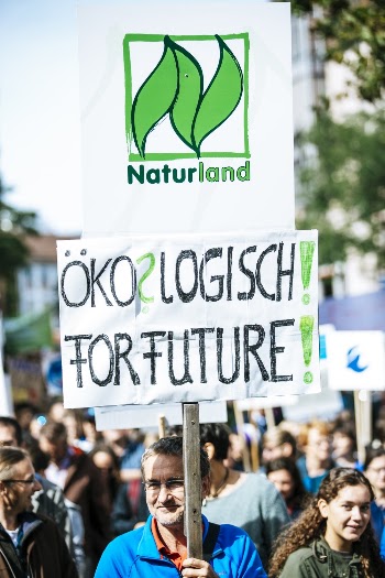Photo Of Person Holding Signage