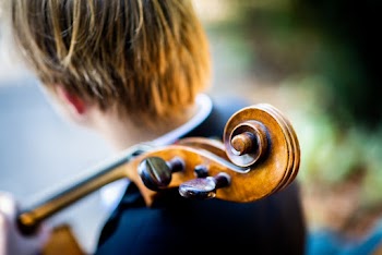 Photo Of Person Holding String Instrument
