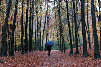 Photo of Person Holding Umbrella