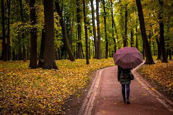 Photo Of Person Holding Umbrella