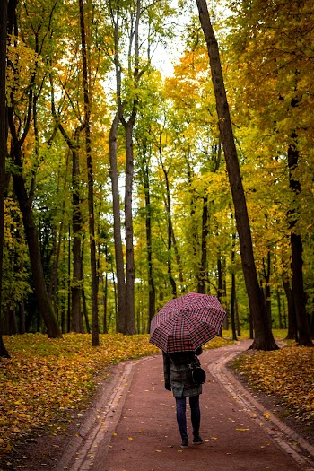 Photo Of Person Holding Umbrella