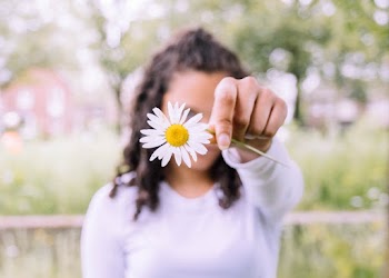 Photo of Person Holding White Daisy