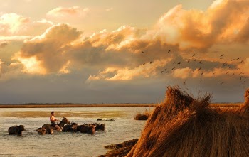Photo of Person on Body of Water During Golden Hour