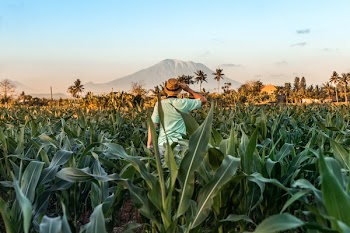 Photo of Person On Cropland