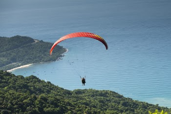 Photo of Person Paragliding Over Forest