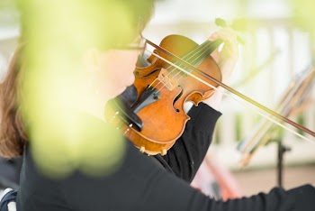 Photo of Person Playing Violin