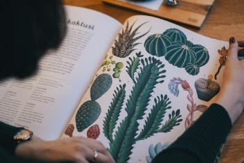 Photo Of Person Reading Book