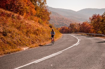Photo of Person Riding Bicycle