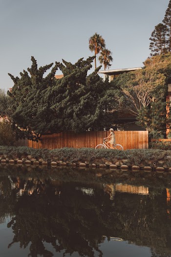 Photo of Person Riding Bike Near Green Leafy Tree Near Wooden Fence