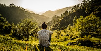 Photo of Person Sitting On Grass