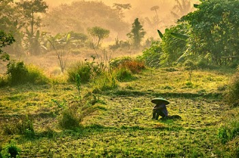 Photo of Person Sitting on Grass Field
