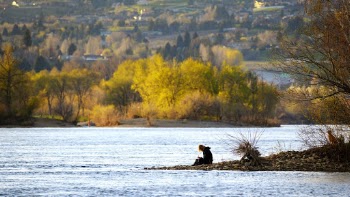 Photo of Person Sitting on Rocky Shore by the River