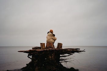 Photo of Person Sitting on Tree Stump Near Body of Water