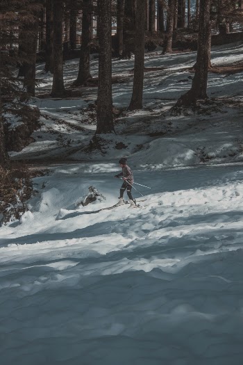 Photo of Person Skiing