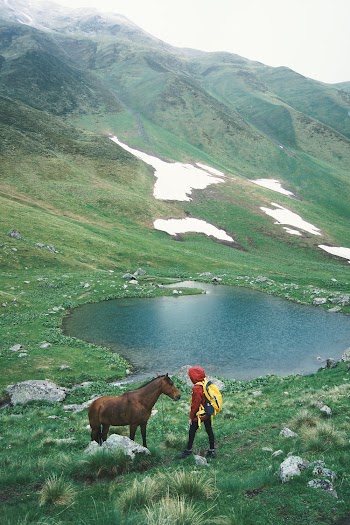 Photo Of Person Standing Near Horse