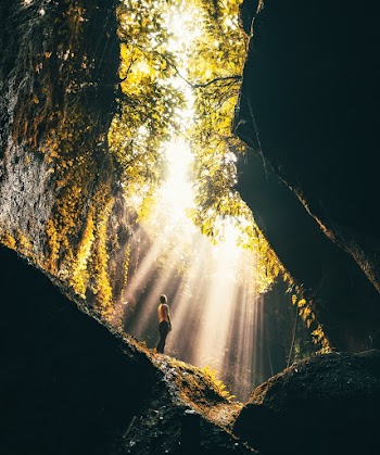 Photo of Person Standing Near Leaves