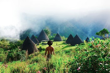 Photo Of Person Standing Near Plants