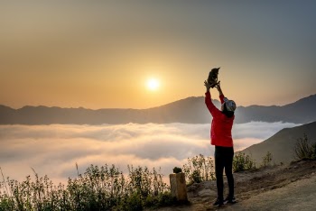 Photo Of Person Standing Near Sea Of Clouds