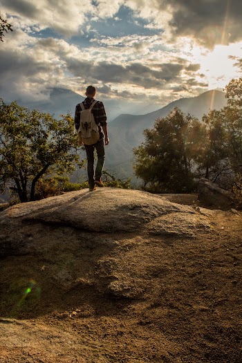 Photo of Person Standing Near Trees Under Cloudy Sky