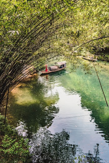 Photo of Person Standing on Boat Near Tall Trees