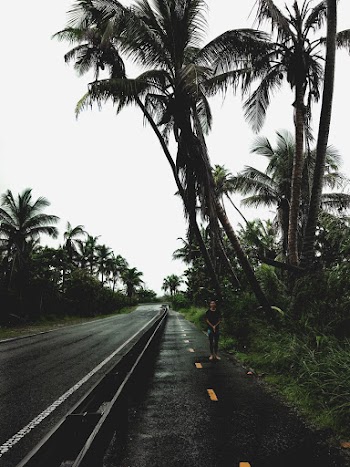 Photo of Person Standing on Road Near Coconut Trees