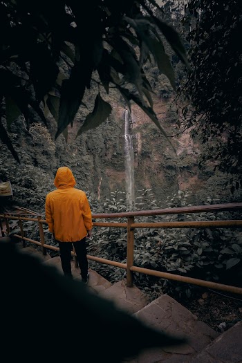 Photo of Person Standing on Stairs