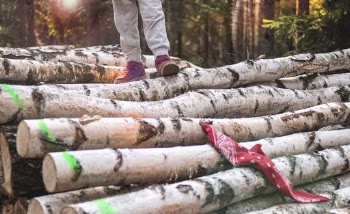 Photo Of Person Standing On Wooden Logs