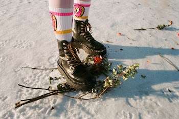 Photo Of Person Stepping On Flowers