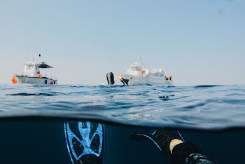 Photo Of Person Submerged On Ocean 